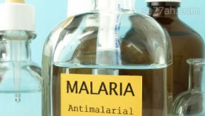 ما هو داء الملاريا