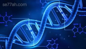 كيف يتم تحليل DNA