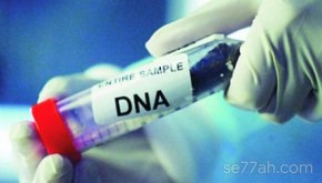 ما هو تحليل DNA