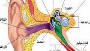 أسباب التهاب الأذن الوسطى