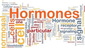 معلومات عن الهرمونات