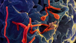 ما هو مرض الإيبولا