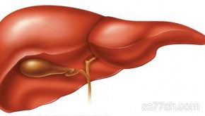 كيف أتخلص من دهون الكبد