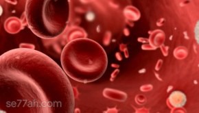 ما هي صفائح الدم
