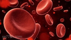 أهمية الدورة الدموية