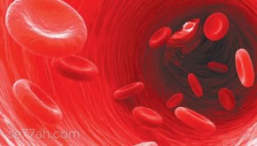ما هي أمراض الدم