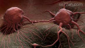 العلاقة بين مرض السرطان ودورة حياة الخلية