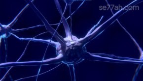 ما هو الجهاز العصبي