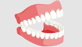 مما تتكون الأسنان ؟