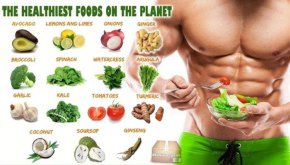 التغذية و كيف يستخدم الجسم الطعام
