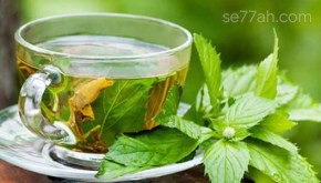 فوائد الشاي الأخضر والنعناع