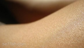 أهمية الجلد