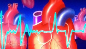 حمية الشرق الأوسط و تأثيرها على أمراض القلب و الشرايين