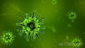 كيفية حماية الجسم من الفيروسات