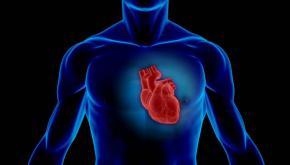 معدل دقات القلب الطبيعي حسب العمر