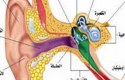 أسباب التهاب الأذن الوسطى