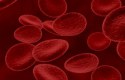 ما هي اليوريا في الدم
