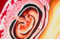 ما هو الحمل خارج الرحم