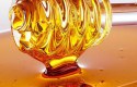 علاج حموضة المعدة بالعسل