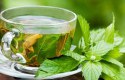 فوائد الشاي الأخضر والنعناع