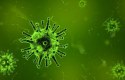 كيفية حماية الجسم من الفيروسات