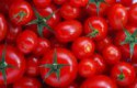 أهم 10 من فوائد الطماطم