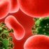 كيف ينتقل فيروس الكبد الوبائي