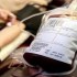 أهمية التبرع بالدم