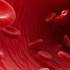 ما هو سرطان الدم